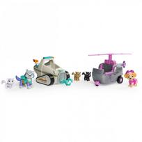 PAW PATROL gyvūnų gelbėjimas - Skye ir Everest, 6027896