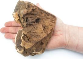 Skanėstas šunims 4Dogs Briar Root, 0.4 kg