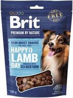 Skanėstas šunims Brit Premium By Nature, ėriena, 0.180 kg