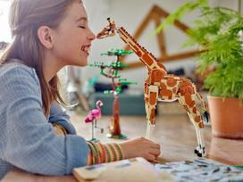 lego 3 in 1 - LEGO Creator Laukiniai safario gyvūnai 31150 - 9 nuotrauka