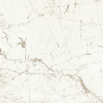 baltos plytelis - Plytelės, akmens masės Tubadzin Graniti Arte 5900199208001, 59.8 cm x 59.8 cm, balta - 1 nuotrauka