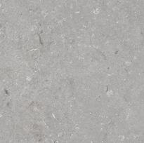 Plytelės, akmens masės SHELLSTONE GRIGIO 005495, 60 cm x 60 cm, pilka