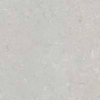 Plytelės, akmens masės SHELLSTONE BIANCO 005497, 60 cm x 60 cm, rusva