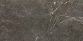 Plytelės, akmens masės Ceramika Paradyz Ibis 5904584154317, 60 cm x 30 cm, pilka