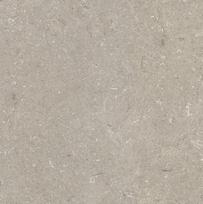 Plytelės, akmens masės SHELLSTONE TAUPE 005494, 60 cm x 60 cm, ruda