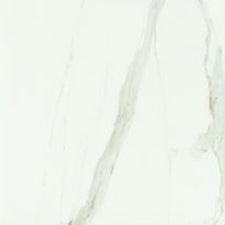baltos plytelis - Plytelės, akmens masės Tubadzin Bonella 5900199208247, 59.8 cm x 59.8 cm, balta - 1 nuotrauka