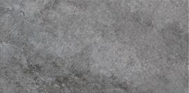 Plytelės, akmens masės Cersanit Gaia L.Grey And Grey NT1152-002-1, 59.8 cm x 29.8 cm, pilka