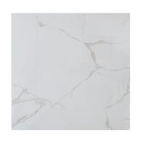 plyteles 60 60 - Plytelės, akmens masės 0764460074901, 60 cm x 60 cm, balta - 1 nuotrauka