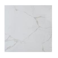 plyteles 60 60 - Plytelės, akmens masės 0764460074901, 60 cm x 60 cm, balta - 2 nuotrauka