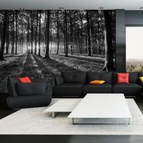 Fototapetas Artgeist The Light in the Forest LNEW011457, 140 cm x 200 cm