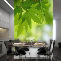 Fototapetas Artgeist leaves (Shallow focus), 231 cm x 300 cm