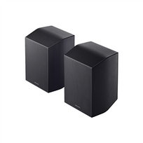 ermitazas - Samsung HW-Q990F - 12 nuotrauka