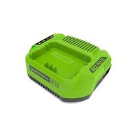 Greenworks G60UC, 60 V, 2 A, įkroviklis