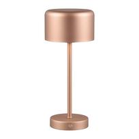 usb led lempa - Trio Jeff Stalinis LED Šviestuvas, 1,5W, Vario (Copper) - 3 nuotrauka