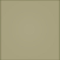 Plytelės, keraminės Tubadzin Pastel 2013 PS-01-136-0200-0200-1-103, 20 cm x 20 cm, ruda
