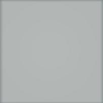 Plytelės, keraminės Tubadzin Pastel 2013 PS-01-136-0200-0200-1-064, 20 cm x 20 cm, pilka