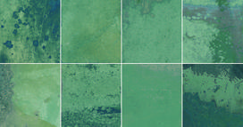 Plytelės, keraminės Geotiles Provence 8429991867980, 60 cm x 31.6 cm, žalia