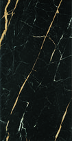 Plytelės, keraminės Tubadzin Floris 2020 PS-03-769-0308-0608-1-004, 60.8 cm x 30.8 cm, juoda