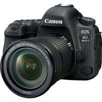 visinga - Canon EOS 6D Mark II + EF 24-105mm f/3.5-5.6L IS STM - 5 nuotrauka