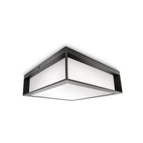 philips lauko sviestuvas - Sieninis lauko šviestuvas Philips Skies, 14W, E27, IP44, antracito, 26 cm x 8.1 cm - 1 nuotrauka