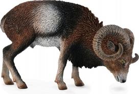 COLLECTA Europinis muflonas (European Mouflon) 88682