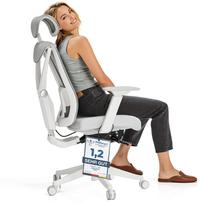 Darbo kėdė Desktronic SitPro, 71.5 x 67 x 109.5 - 133 cm, pilka
