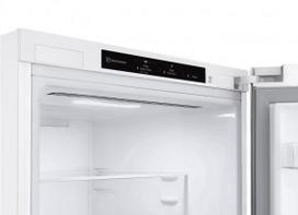 saldytuvai - LG GBV3100ESW - 11 nuotrauka
