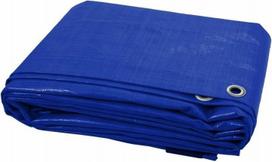 Sustiprintas tentas, mėlynas, 6 m x 4 m