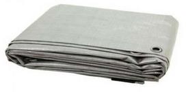 Sustiprintas tentas, sidabro, 5 m x 3 m