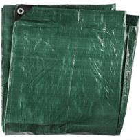 Tentas Tarmo Tarpaulin, žalias, 8 m x 12 m