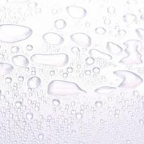 voljerai voljeras pigu lt - Songmics "pasidaryk pats" narvas 20 plastikinių lėkščių - 7 nuotrauka