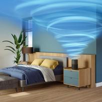 65 philips - Philips AC0951/13 - 11 nuotrauka
