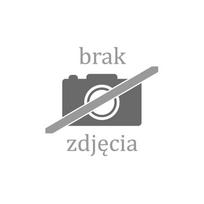 blow kamera - BLOW 4G PTZ 6MP H-396-AOV - 1 nuotrauka