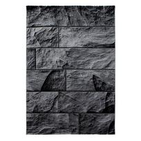 Kilimas vidaus Ayyildiz Parma 1402009250, juodas, 200 cm x 140 cm