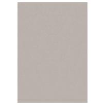 Kilimas vidaus Ayyildiz SKY1602305400BEIGE, smėlio, 230 cm x 160 cm
