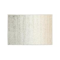 Kilimas vidaus Domoletti VELUTO 822/YC9-X, pilka/smėlio, 80 cm x 120 cm