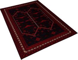 Kilimas vidaus Conceptum Hypnose W1087, juoda/raudona/smėlio, 220 cm x 140 cm