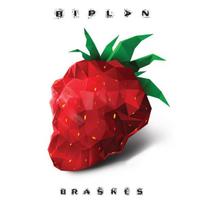 BIPLAN "Braškės"