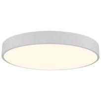 SPECTOR LIGHT Slimline WH, 60 W, LED, 6800 lm, baltas (White)