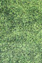 Kilimas Conceptum Hypnose Grass, įvairių spalvų, 230 cm x 160 cm