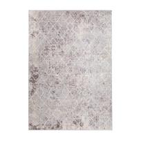 Kilimas Domoletti Omega E199APEX37, pilkas, 230 cm x 160 cm