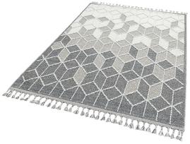 Kilimas Conceptum Hypnose 724EKH7791, pilkas, 230 cm x 160 cm