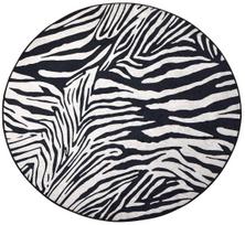 Kilimas vidaus Conceptum Hypnose Zebra 882CHL1114, balta/juoda, 100 cm x 100 cm