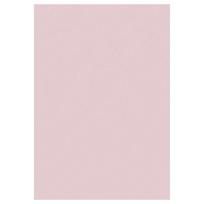 Kilimas vidaus Ayyildiz SKY801505400ROSE, rožinė, 150 cm x 80 cm