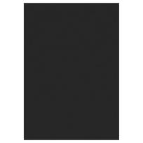 Kilimas vidaus Ayyildiz SKY801505400BLACK, juodas, 150 cm x 80 cm