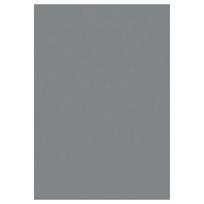 Kilimas vidaus Ayyildiz 601105400, pilkas, 110 cm x 60 cm