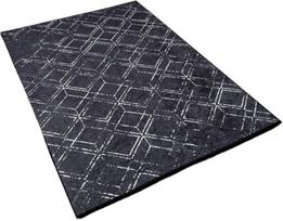 Kilimas vidaus Conceptum Hypnose W1165 213HFT2601, įvairių spalvų, 100 cm x 60 cm