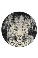 Kilimas Conceptum Hypnose Tiger Tiger, įvairių spalvų, 100 cm x 100 cm