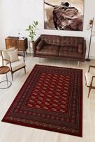 Kilimas Conceptum Hypnose W1122, įvairių spalvų, 100 cm x 60 cm