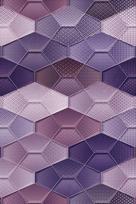 Kilimas Conceptum Hypnose HMNT556, įvairių spalvų, 220 cm x 140 cm